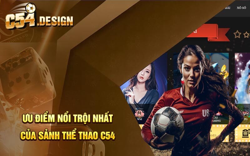 Ưu điểm nổi trội nhất của sảnh Thể thao C54 